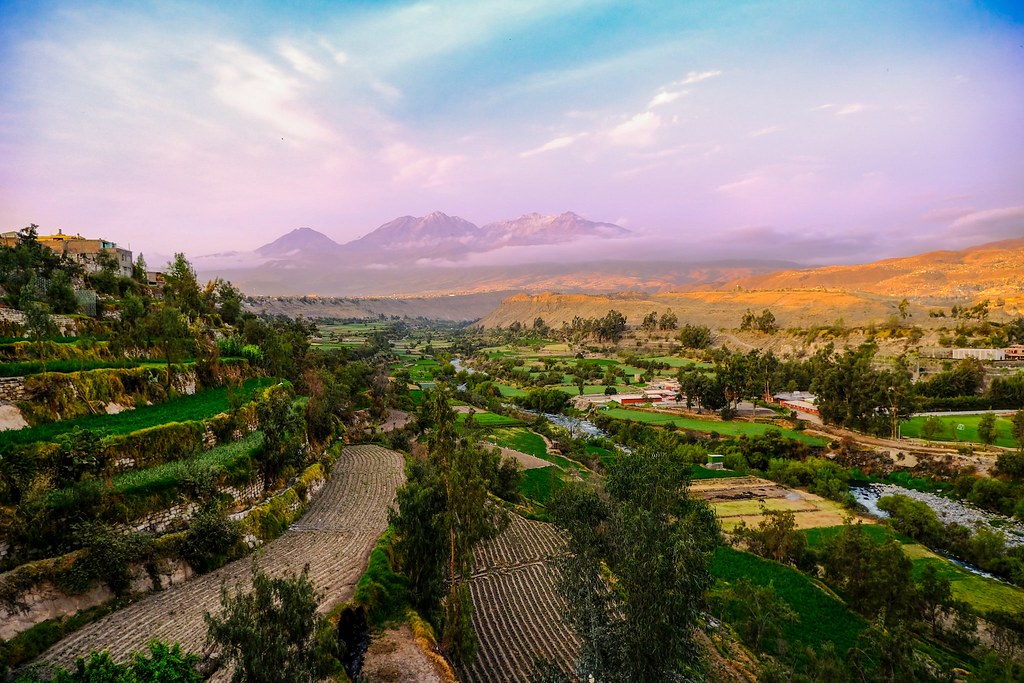 Foro Perú Sede